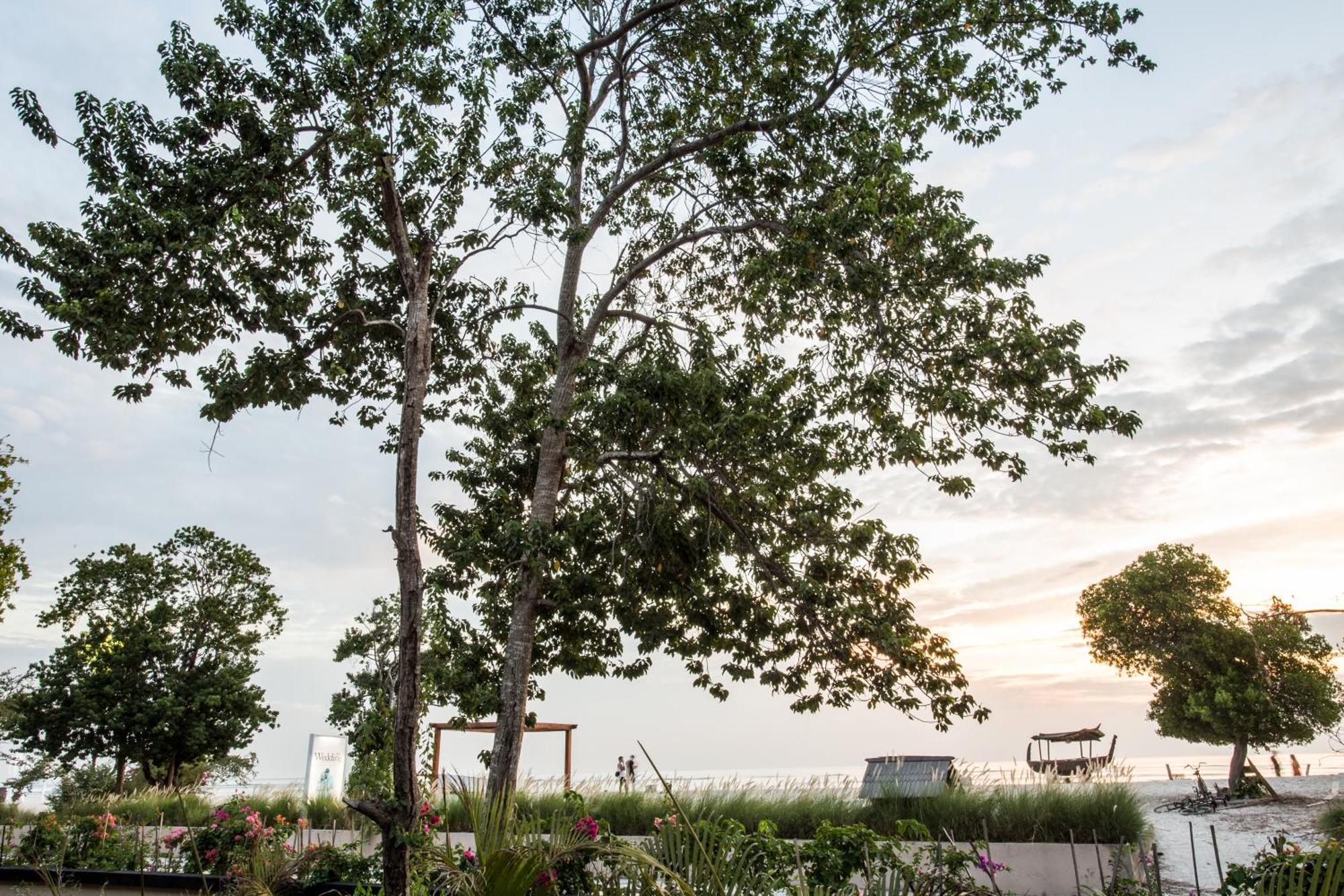 Ombak Sunset Hotel Quần đảo Gili Ngoại thất bức ảnh